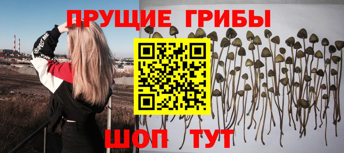 Галлюциногенные грибы MAGIC MUSHROOMS  Вход с VPN  Псилоцибиновые грибы GOLDEN TEACHER  Волжский 
